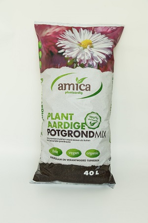 Amica potgrond